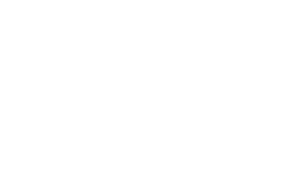 Logo AEGEE-Delft 2022 wit